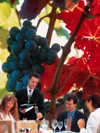 people enjoy Austrian wine