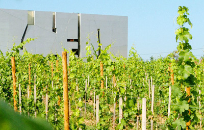 The architecture and vineyard at Loisium Wine Museum.