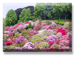 Gardens at Villa Taranto