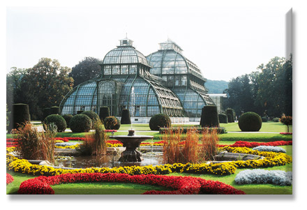SchönbrunnPalace- Palm House