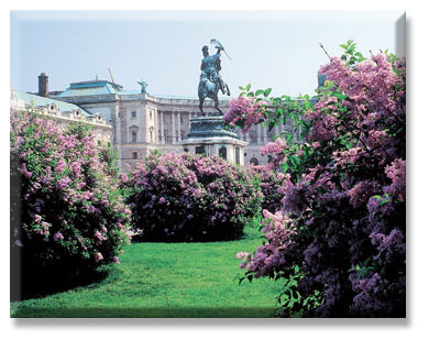 Roses garden at Palace picture