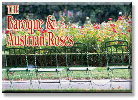 The Baroque & Austrian Roses
