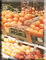 a bounty of vegetables